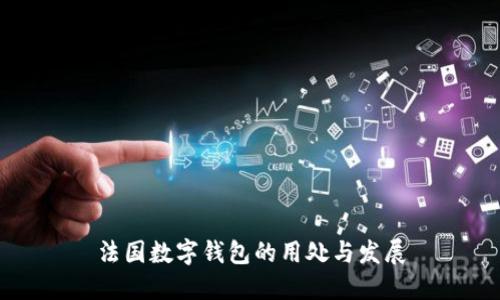 法国数字钱包的用处与发展