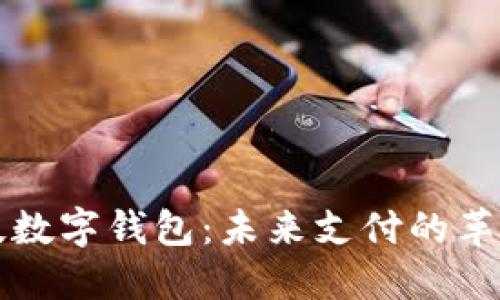黑科技数字钱包：未来支付的革新之路