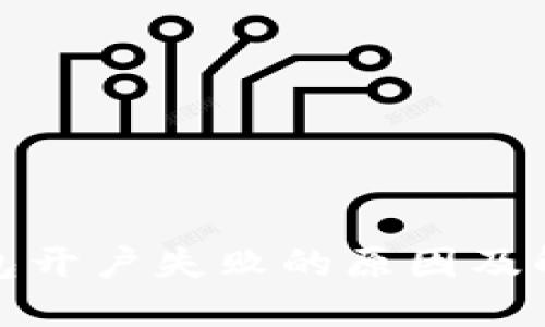 数字钱包开户失败的原因及解决方案