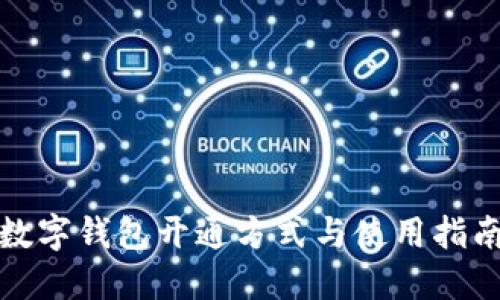 数字钱包开通方式与使用指南