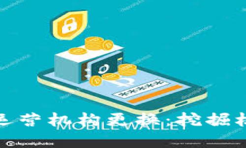 数字钱包运营机构更换：挖掘机遇与挑战