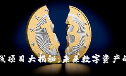 区块链钱包上线项目大揭秘：未来数字资产的容器与管理者
