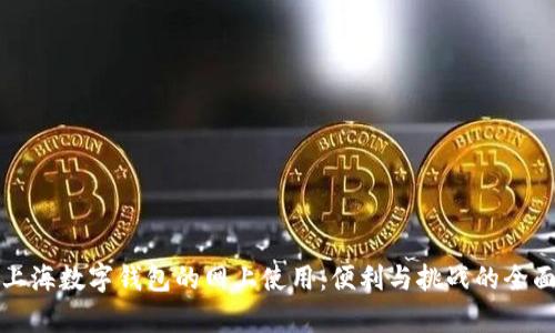 探索上海数字钱包的网上使用：便利与挑战的全面解析