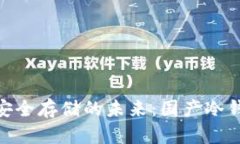 数字货币安全存储的未来：国产冷钱包的崛起