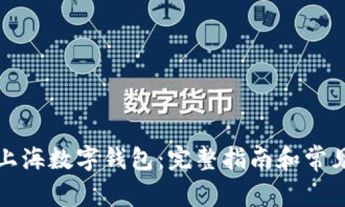 如何申请上海数字钱包：完整指南和常见问题解答