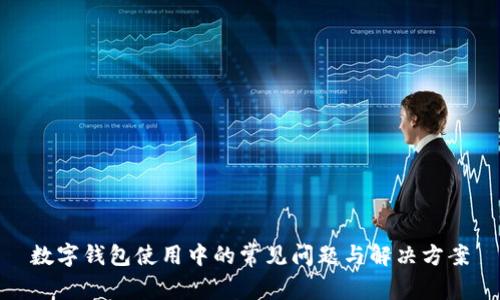 数字钱包使用中的常见问题与解决方案
