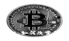 数字钱包的崛起：如何改变我们的支付方式