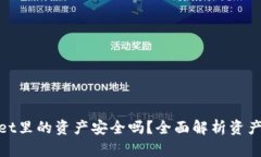 tpwallet里的资产安全吗？全面解析资产安全性