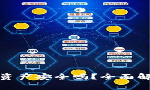 tpwallet里的资产安全吗？全面解析资产安全性