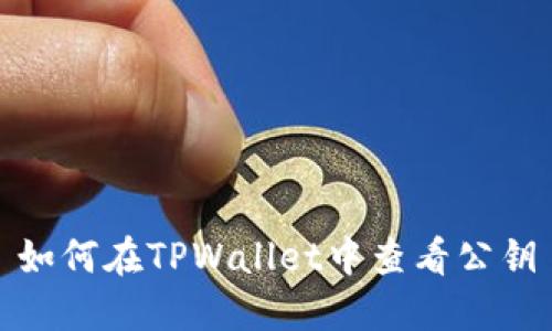如何在TPWallet中查看公钥