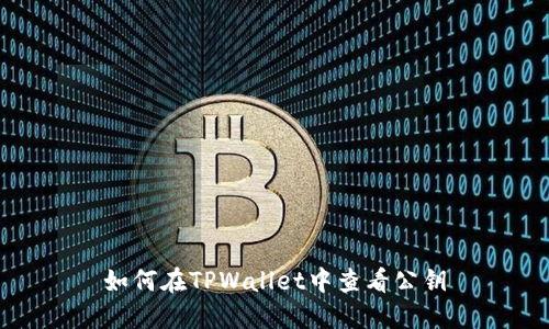 如何在TPWallet中查看公钥