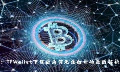 : TPWallet下载后为何无法打开的原因解析