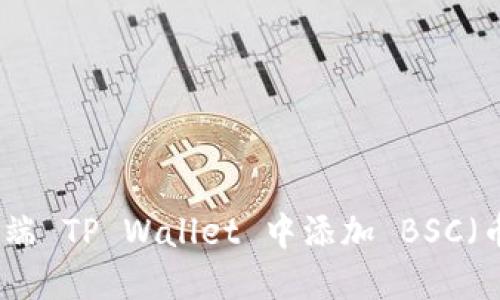 如何在电脑端 TP Wallet 中添加 BSC（币安智能链）