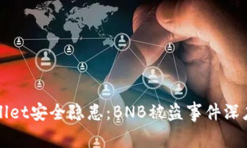 TPWallet安全隐患：BNB被盗事件深度解析