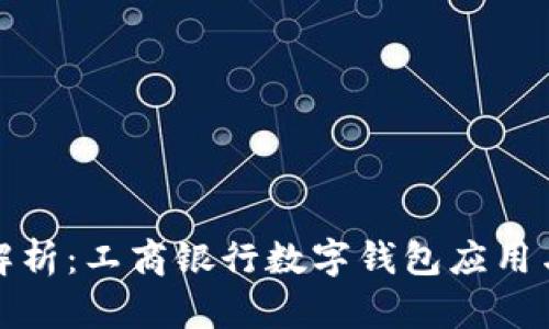 全面解析：工商银行数字钱包应用与前景