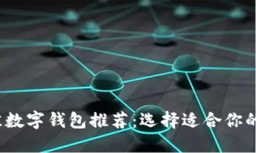 2023年最佳数字钱包推荐：选择适合你的安全与便利