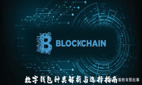 
数字钱包种类解析与选择指南