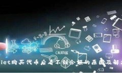 tpwallet购买代币后看不到余额的原因及解决方案