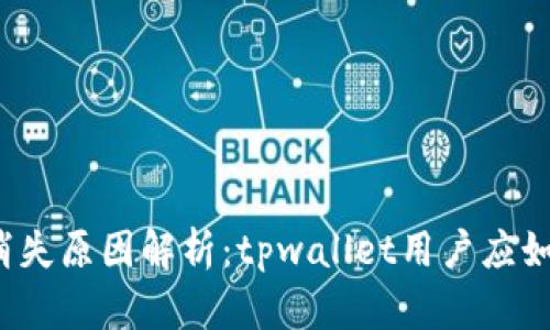 猫猫币消失原因解析：tpwallet用户应如何应对？