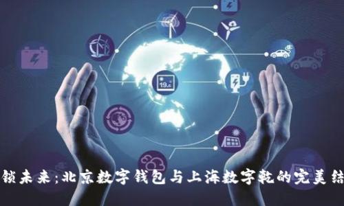 解锁未来：北京数字钱包与上海数字乾的完美结合