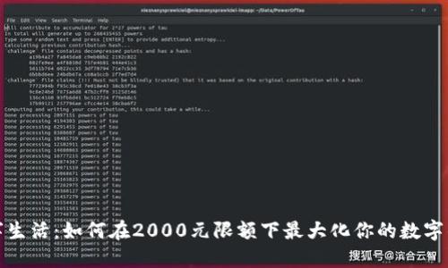 解锁数字生活：如何在2000元限额下最大化你的数字钱包体验