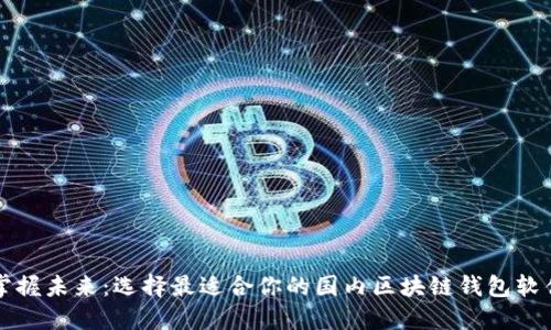 掌握未来：选择最适合你的国内区块链钱包软件