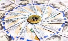 如何确保您的区块链数字钱包安全：保护您的资