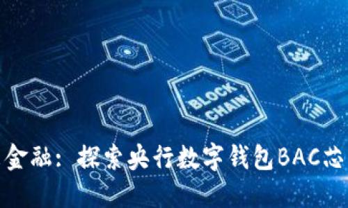 拥抱未来金融: 探索央行数字钱包BAC芯的可能性