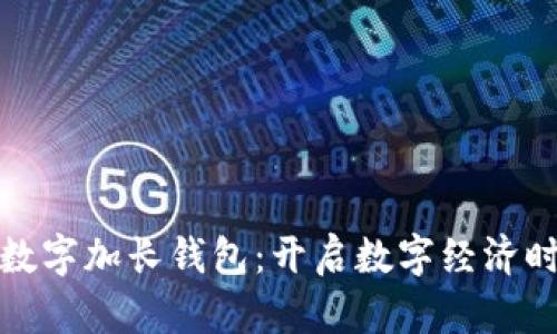 探索牙买加数字加长钱包：开启数字经济时代的新篇章