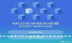 数字钱包的充值限额因不同的服务提供商而异，