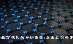 揭开NB数字钱包的神秘面纱：未来支付的革命之路