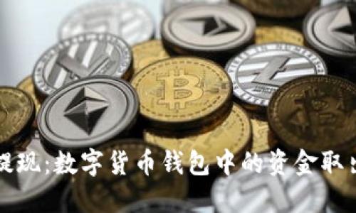 轻松提现：数字货币钱包中的资金取出指南
