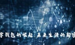 数字钱包的崛起：未来生活的新密码