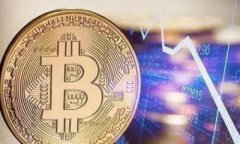 探索未来：选择最适合你的区块链钱包平台