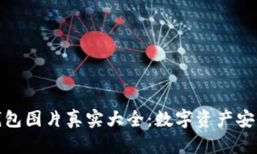 加密短针钱包图片真实大全：数字资产安全的护航者