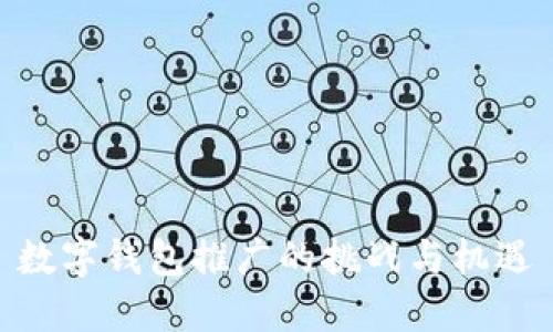 数字钱包推广的挑战与机遇