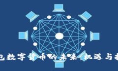 钱包数字货币的未来：机遇与挑战