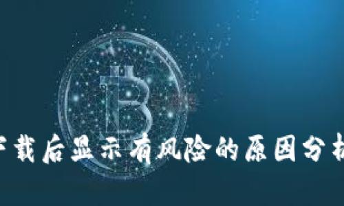  TPWallet下载后显示有风险的原因分析与解决方案