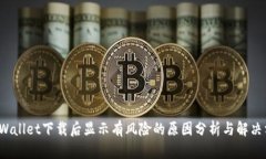  TPWallet下载后显示有风险的原因分析与解决方案