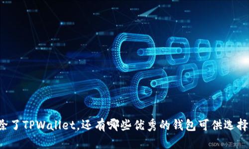 除了TPWallet，还有哪些优秀的钱包可供选择？