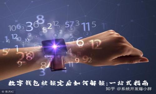 数字钱包被锁定后如何解锁：一站式指南