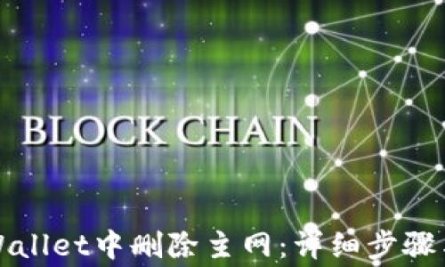 
如何在TPWallet中删除主网：详细步骤与注意事项