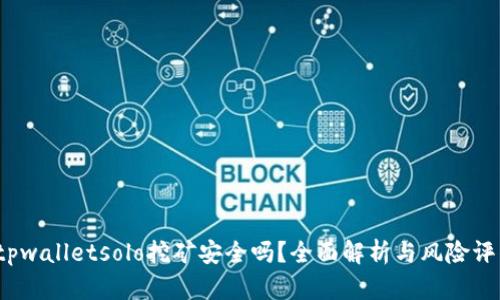  tpwalletsolo挖矿安全吗？全面解析与风险评估