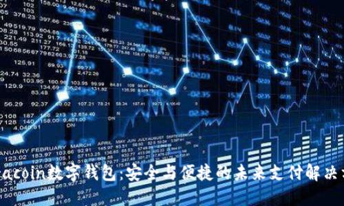 Faracoin数字钱包：安全与便捷的未来支付解决方案