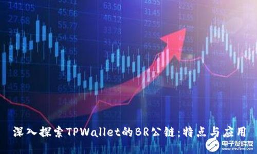深入探索TPWallet的BR公链：特点与应用