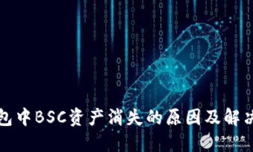 TP钱包中BSC资产消失的原因及解决方案