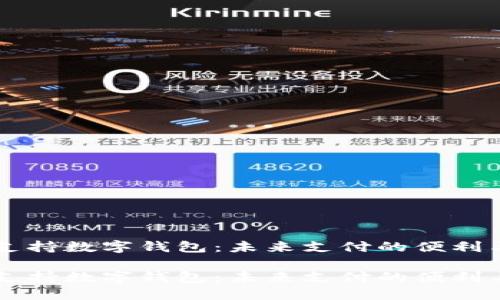 手机支持数字钱包：未来支付的便利与挑战

手机支持数字钱包：未来支付的便利与挑战