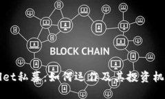 TPWallet私募：如何运作及其