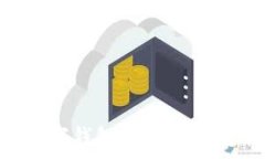  复旦微电数字钱包：引领