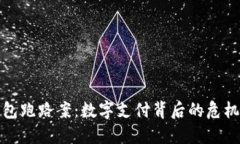 数字钱包跑路案：数字支